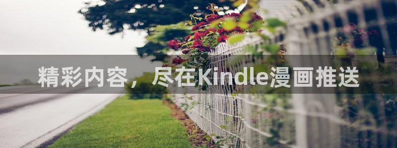 冬天之后的樱花漫画资源