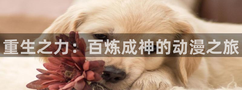 巨人族的新娘动漫樱花漫画免费观看：重生之力：百炼成神的动漫之旅